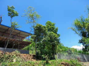 Dharapani Agriculture Farm & Home Stay